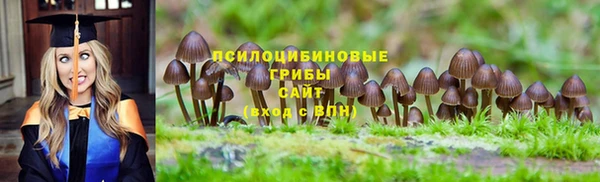 МДПВ Горно-Алтайск