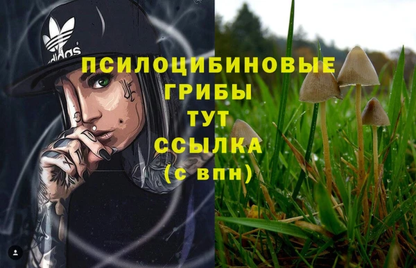МДПВ Горно-Алтайск
