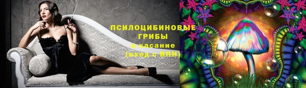 МДПВ Горно-Алтайск